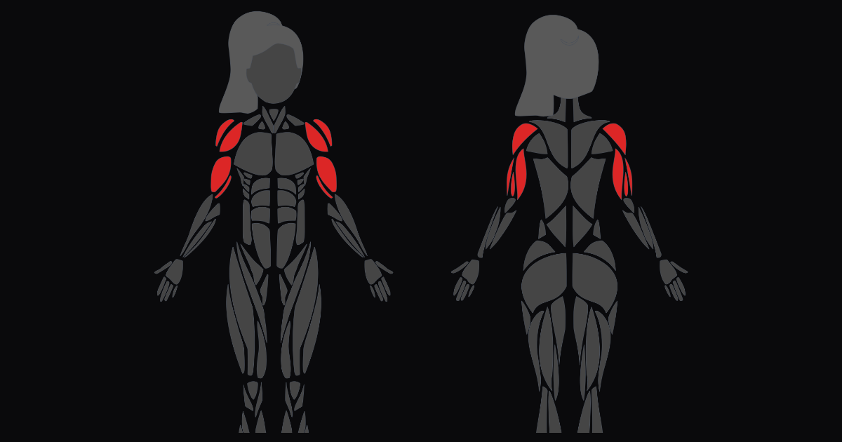 Home Arms & Shoulders Sculpt