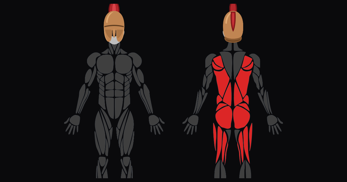 Posterior Chain Builder