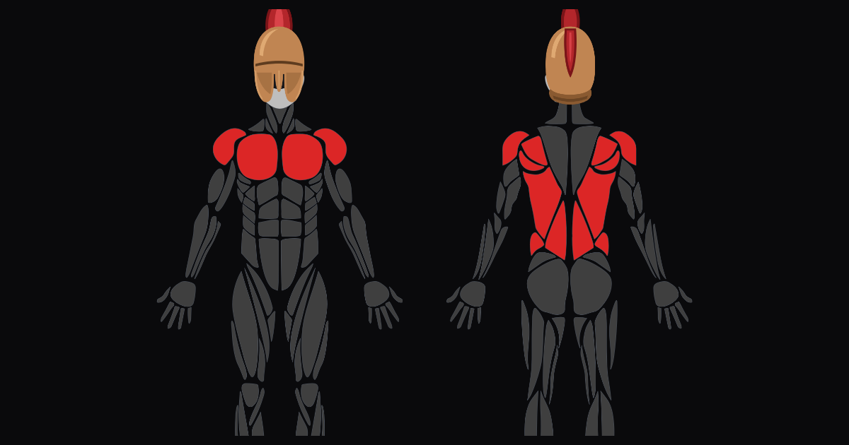 Upper Body — Foundations
