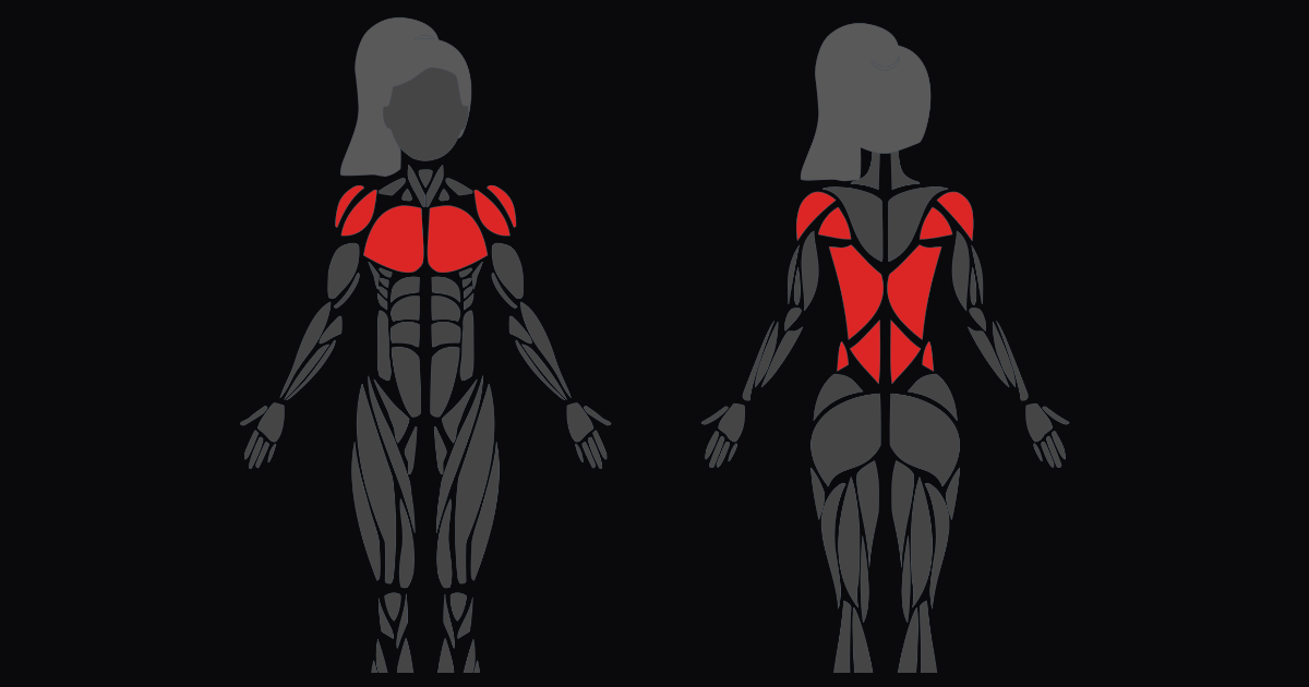 Upper Body Tone