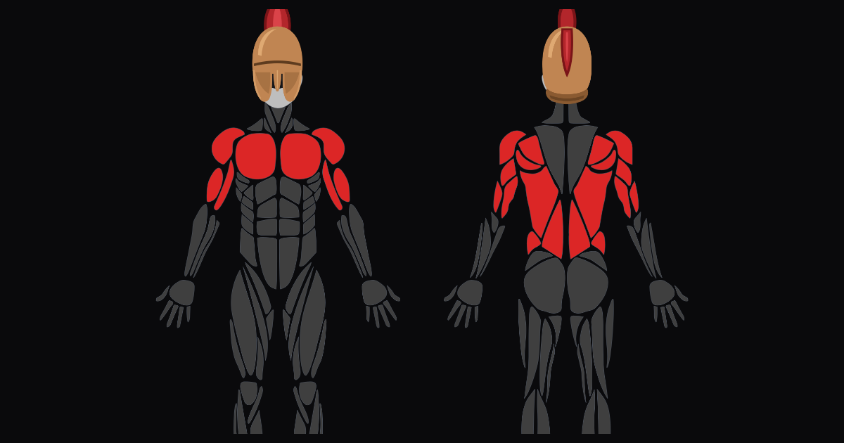 Upper Body — Volume
